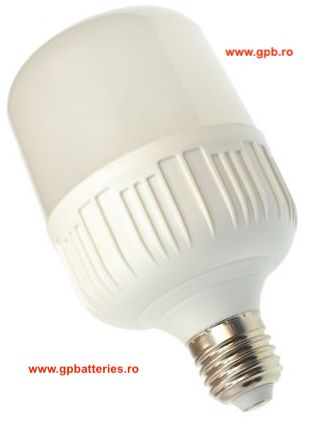 Bec LED E27/ 30W /220V/6400K A100 HighPower 2400lm TED130R